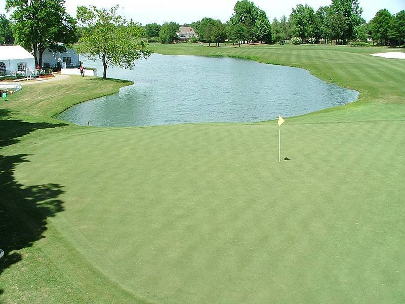 TPC Southwind hole 12 green view